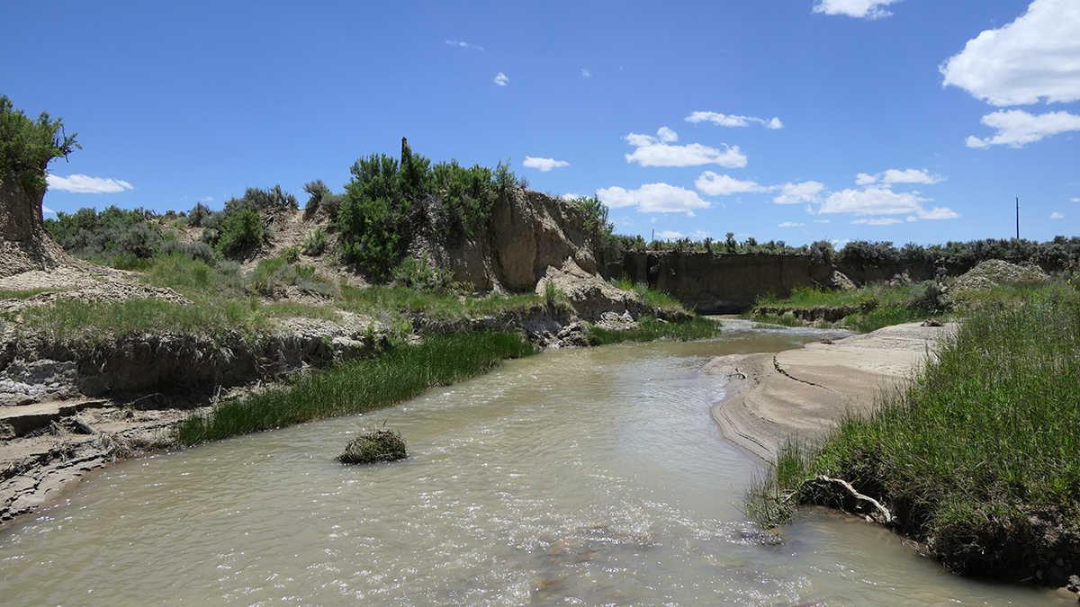 River in New Mexico