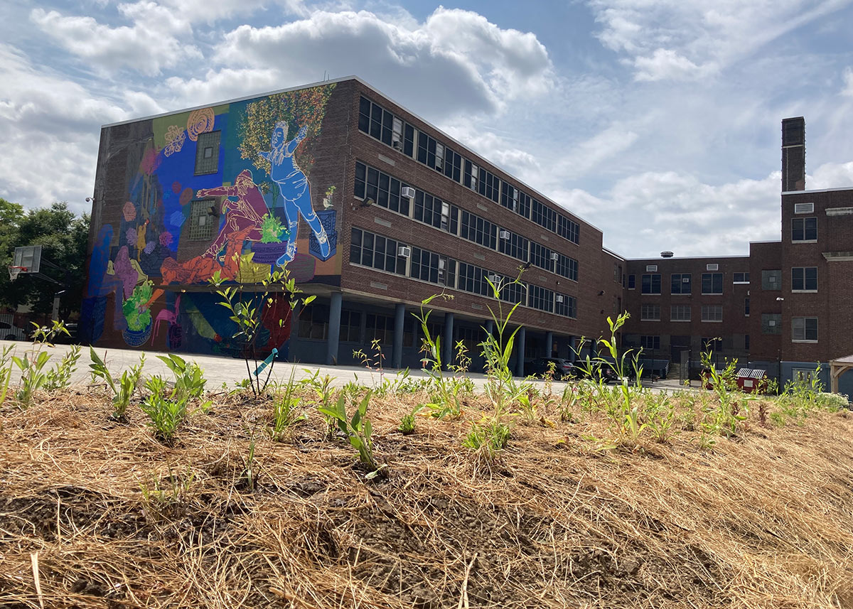 U School garden in front of the school, which is painted in murals