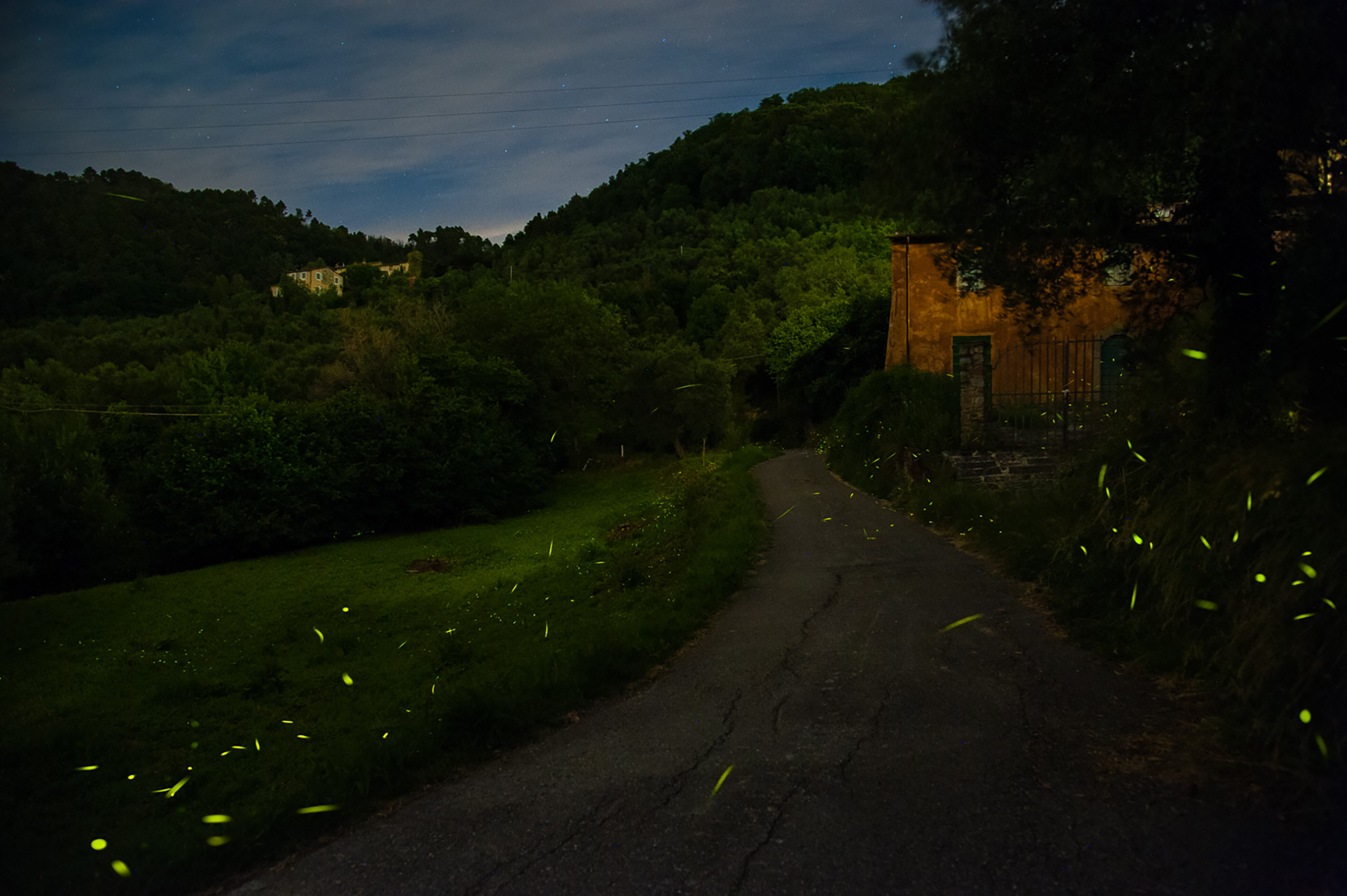 The bright green flashes of fireflies can be seen over a rural driveway