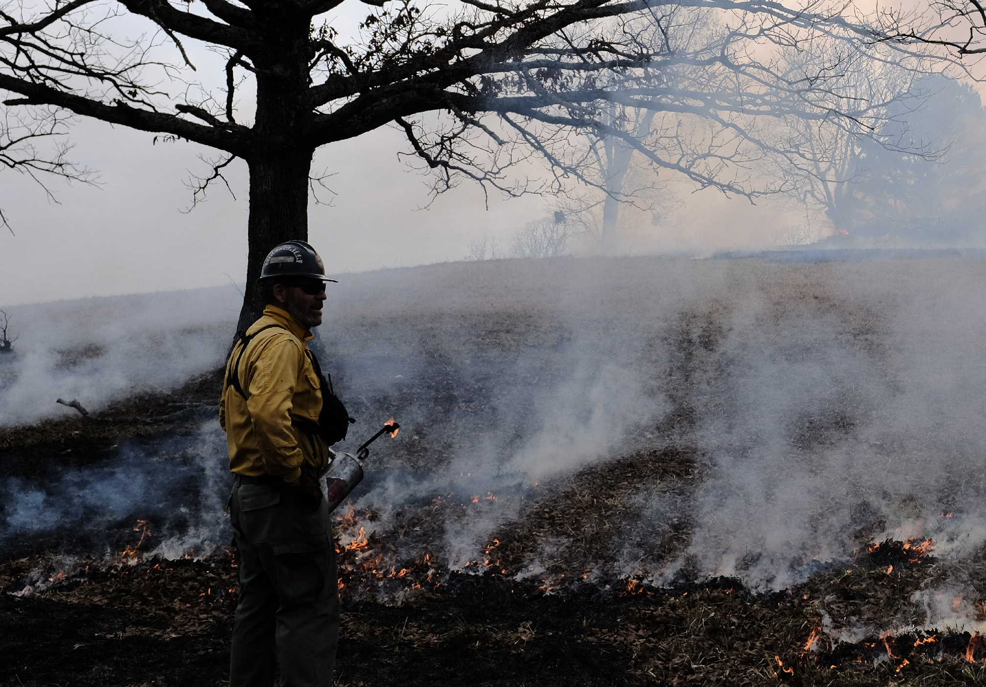 Smoke drifts across a prairie during a controlled burn. A firefighter wearing a yellow shirt and hard hat stands beside the flames.