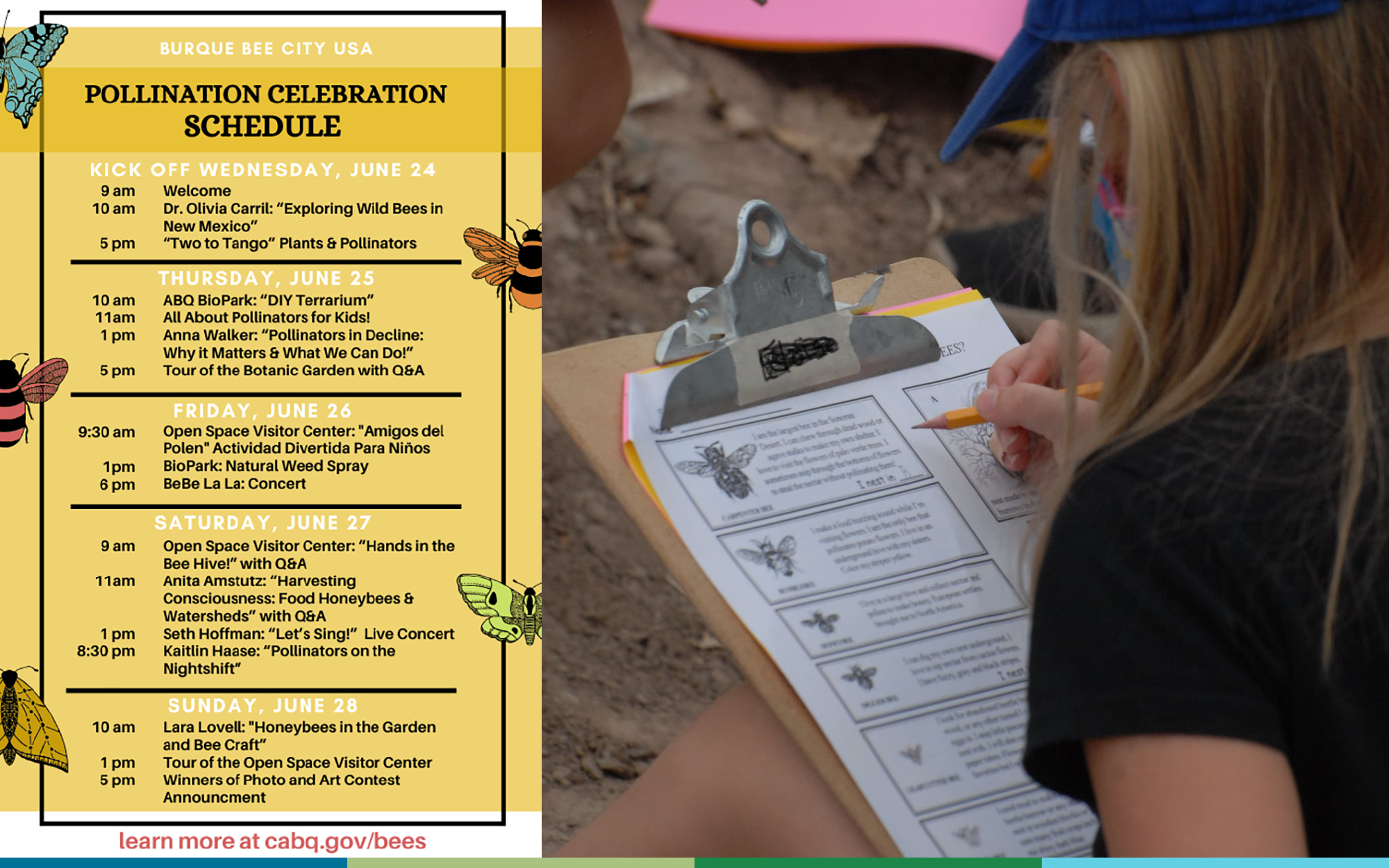 A composite image: On the left is a list of events at a pollinator festival; they are printed in black on pale yellow. On the right, a girl wearing a blue cap sits writing information on a clipboard