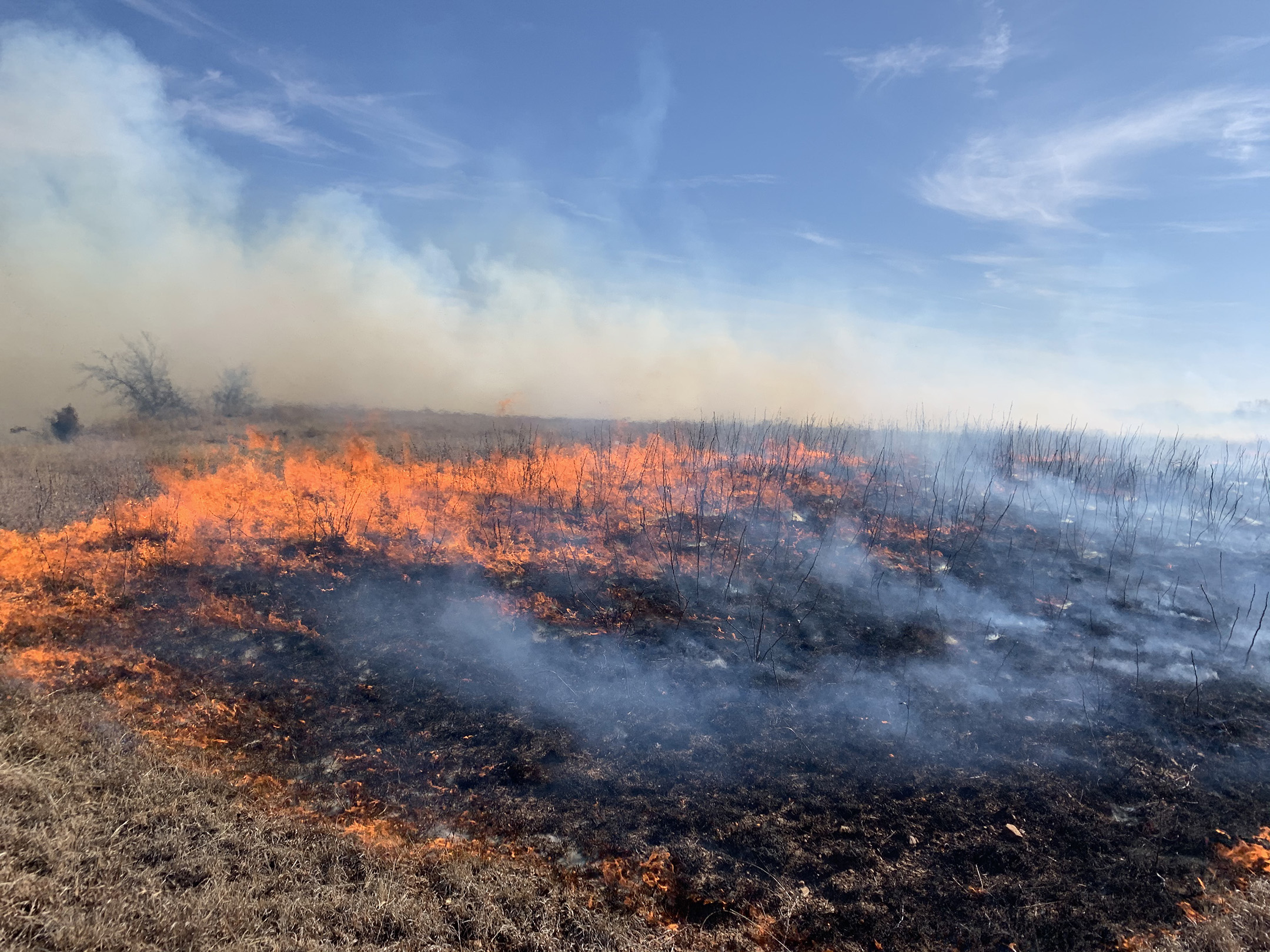 The short brown grass of this rangeland has been set on fire. A band of orange flames advances under brown smoke, leaving burned and blackened ground behind.