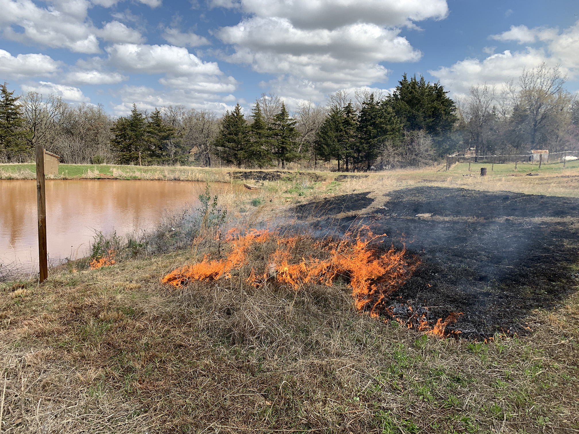 An area of brown grass is being burned. The orange flames are close to the camera, with the blacken burned area stretching beyond. To the left, down a small slope is a pond, and beyond the fire are trees. The sky is blue with white clouds.