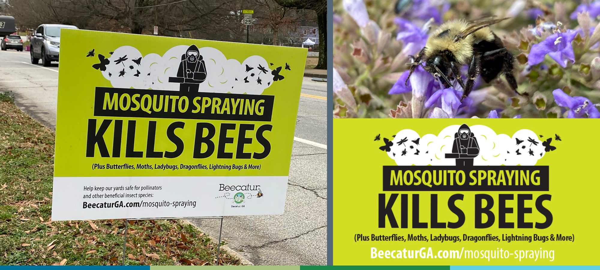 The photos that show different ways of sharing the message about mosquito spraying. On the left is a roadside sign that is a bright green color with the message “MOSQUITO SPRAYING KILLS BEES” in black text. On the right is a small graphic that has the same message, with a photograph of a hairy black-and-yellow bumble bee on purple flowers.