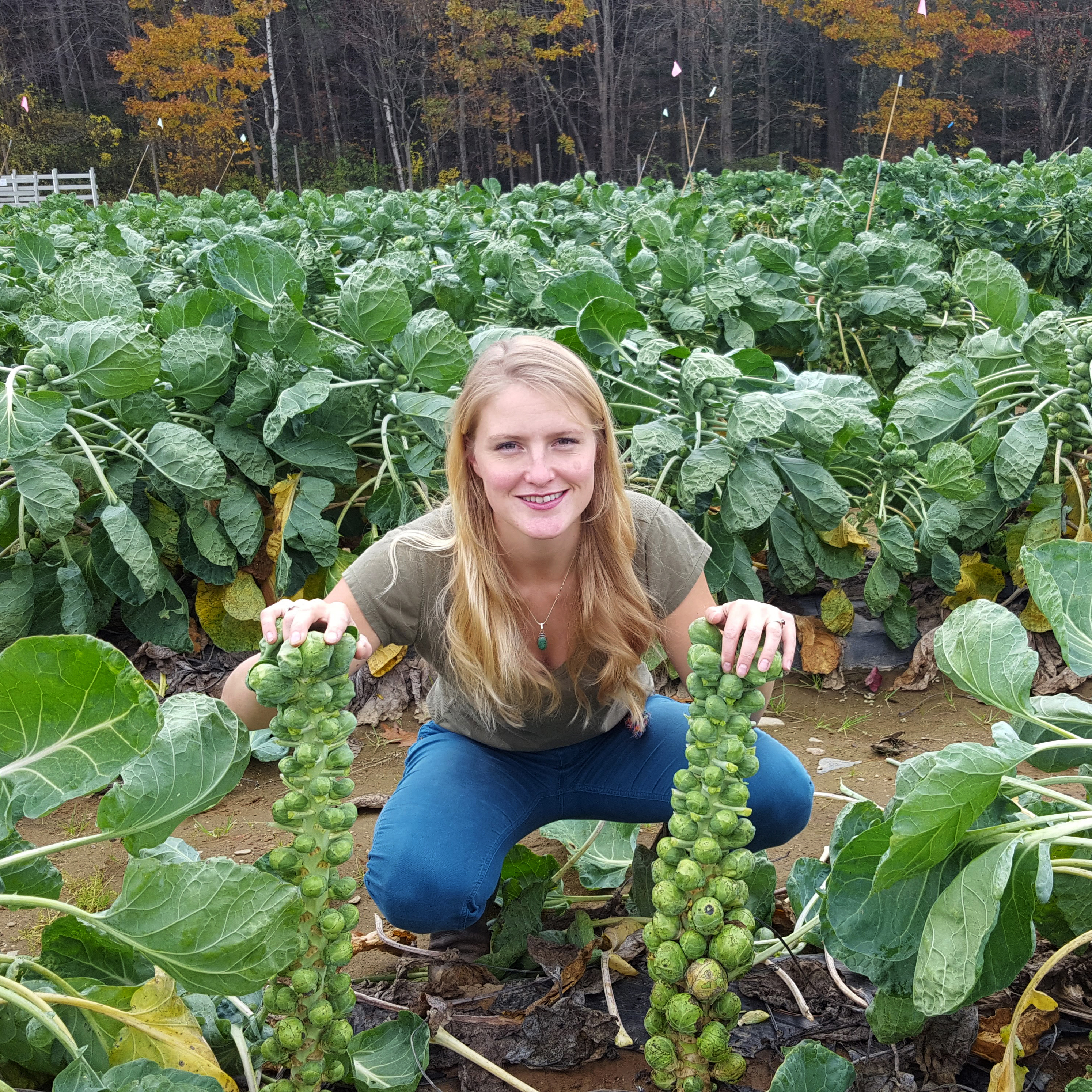 A woman crouches in a field of verdant vegetables, holding two large Brussels sprout stalks.