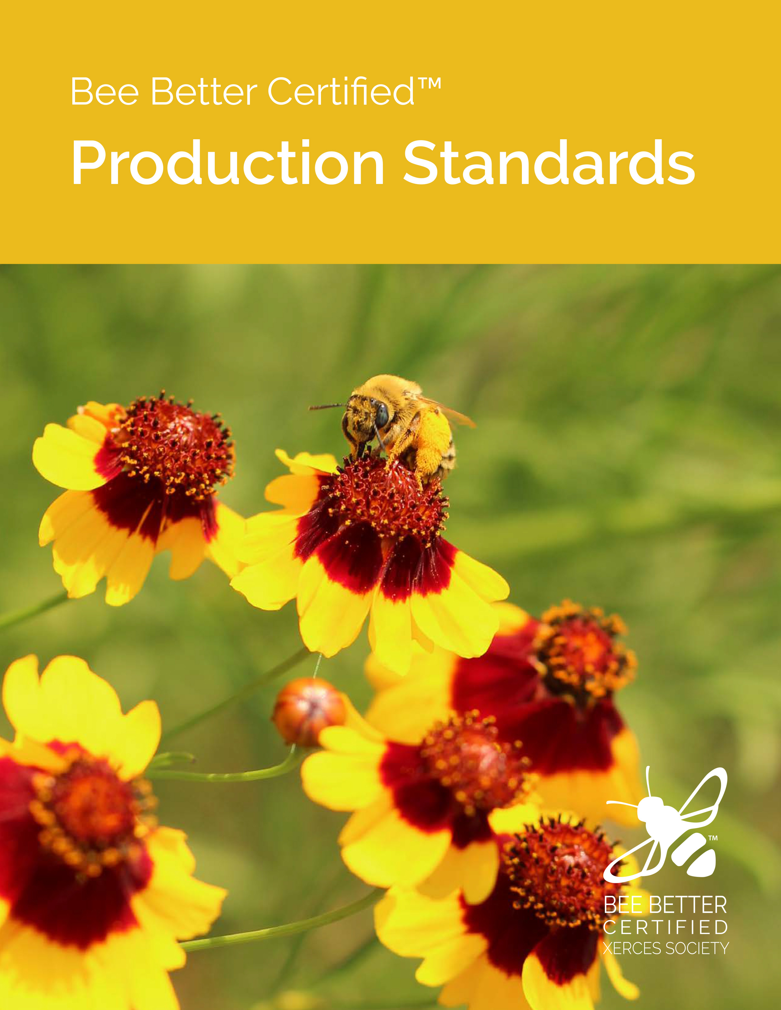 The Bee Better Certified Production Standards' cover image, with a bright photo of yellow and red blossoms visited by a bumble bee, is shown.