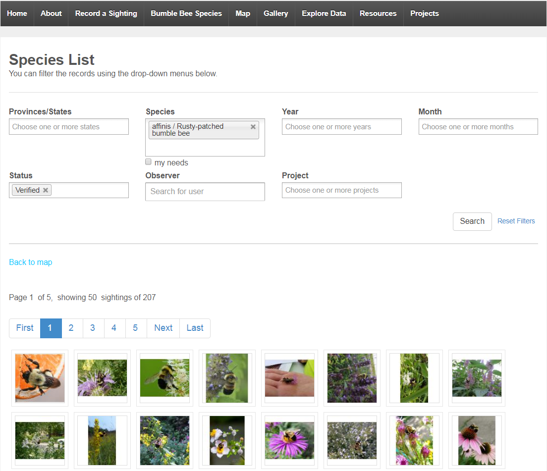 This screen shot of the Bumble Bee Watch interface includes search fields and images from bumble bee sightings.