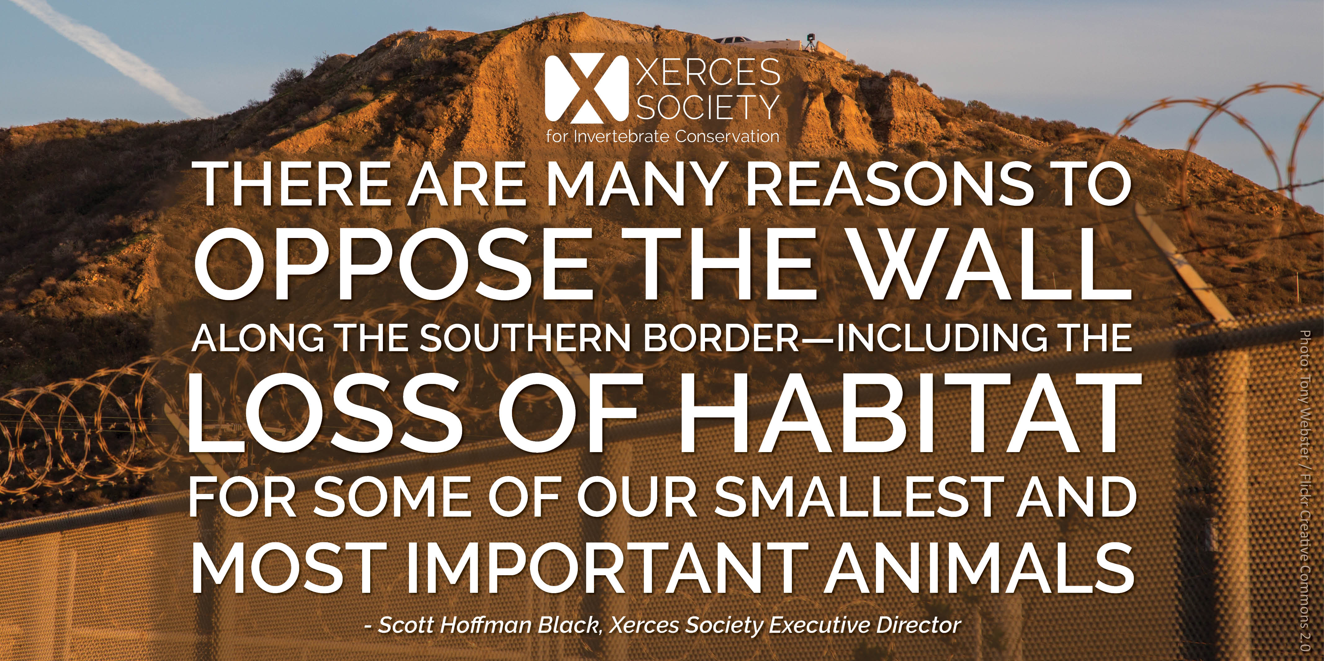 Superimposed on an image of border fencing, the Xerces logo sits above text that reads, "'There are many reasons to oppose the wall along the southern border—including the loss of habitat for some of our smallest and most important animals' – Scott Hoffman Black, Xerces Society Executive Director"