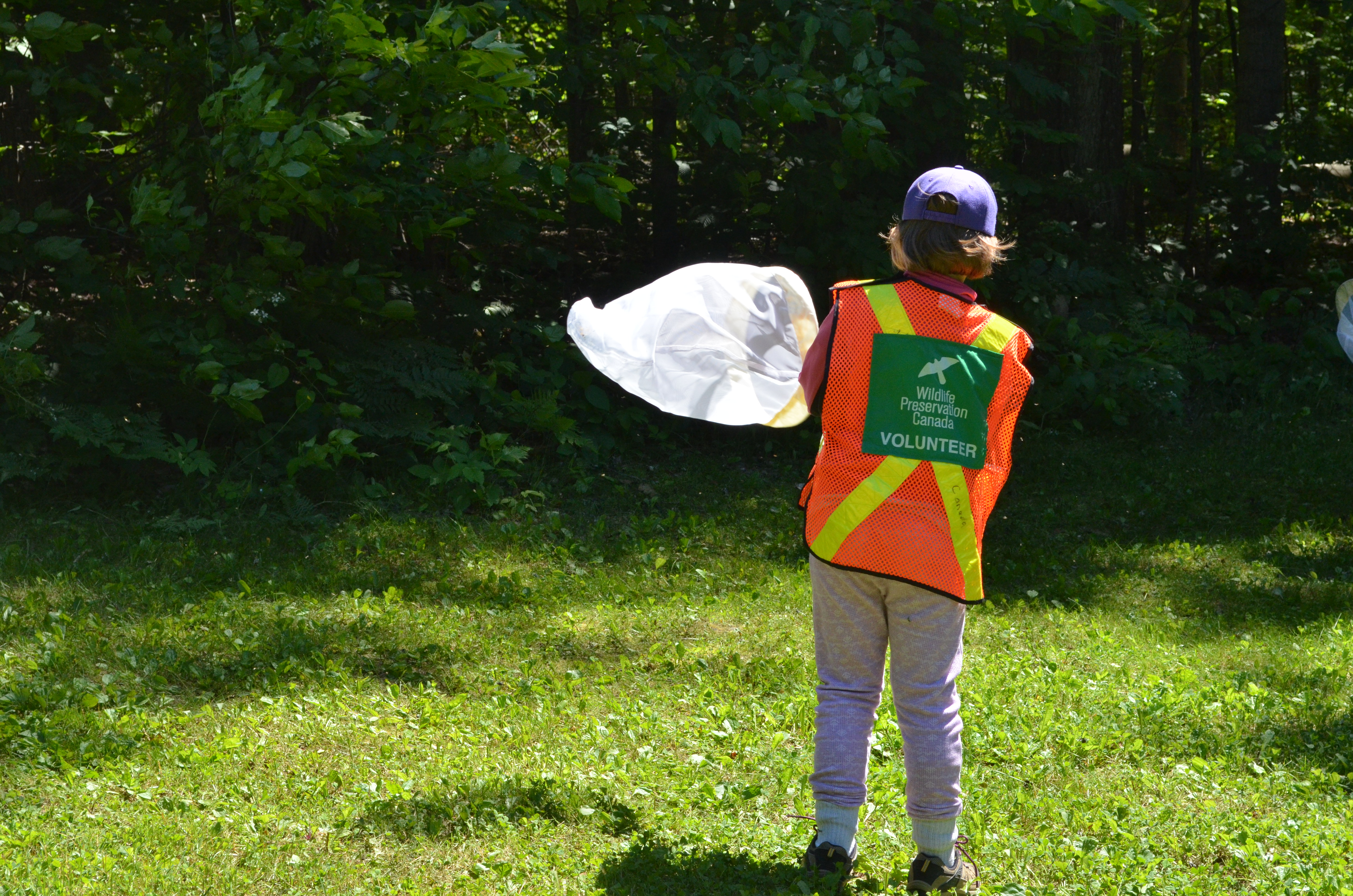 A kid with an orange reflective vest with a large green patch on the back that says Volunteer - Wildlife Preservation Canada swings a net to catch a bumble bee in a grassy area surrounded by trees.