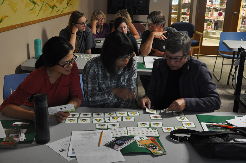 In groups of three, people sit at tables and review images of different bumble bees.