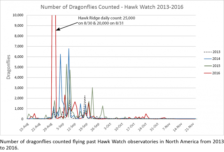 dragonfly count graph