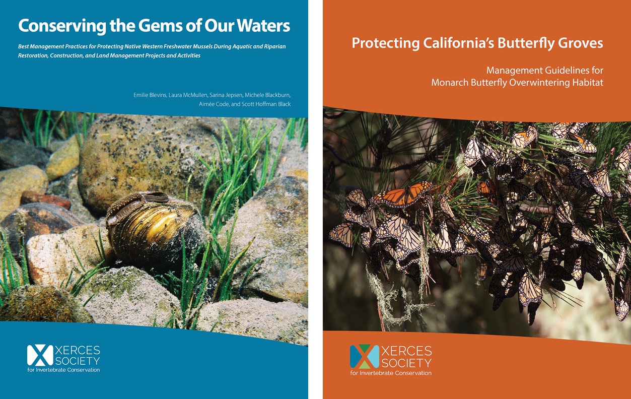 Covers shown side by side: Conserving the Gems of Our Waters and Protecting California's Butterfly Groves.