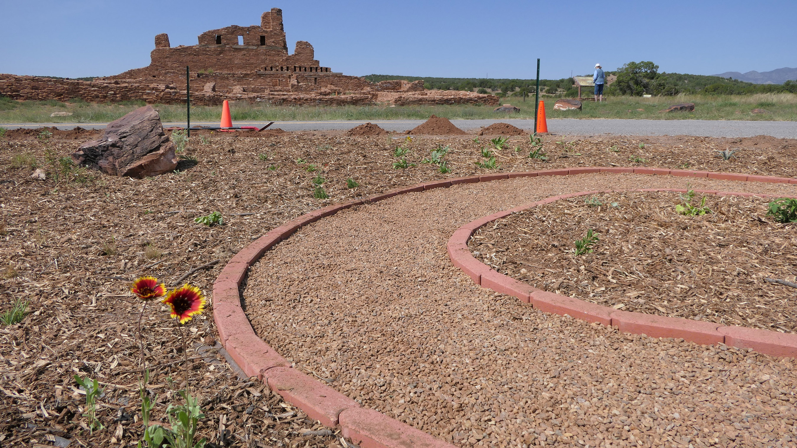 A pair of red-and-yellow flowers bloom in a newly planted pollinator garden. Behind them stands part of the ancient Salinas Pueblo Mission