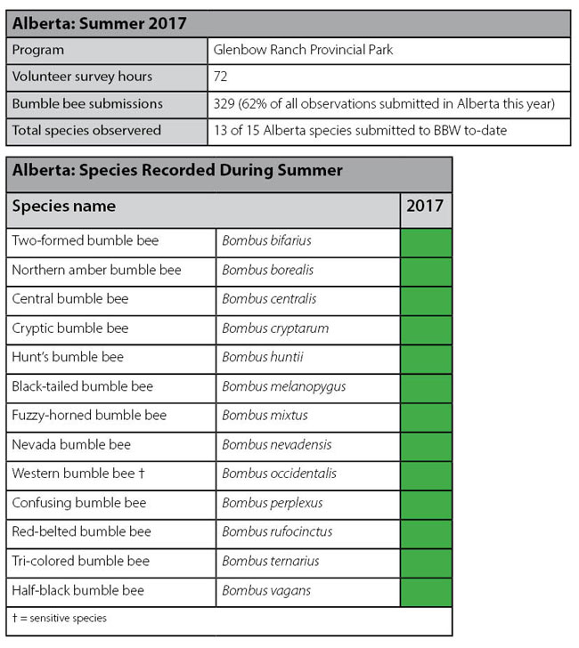 results table 2