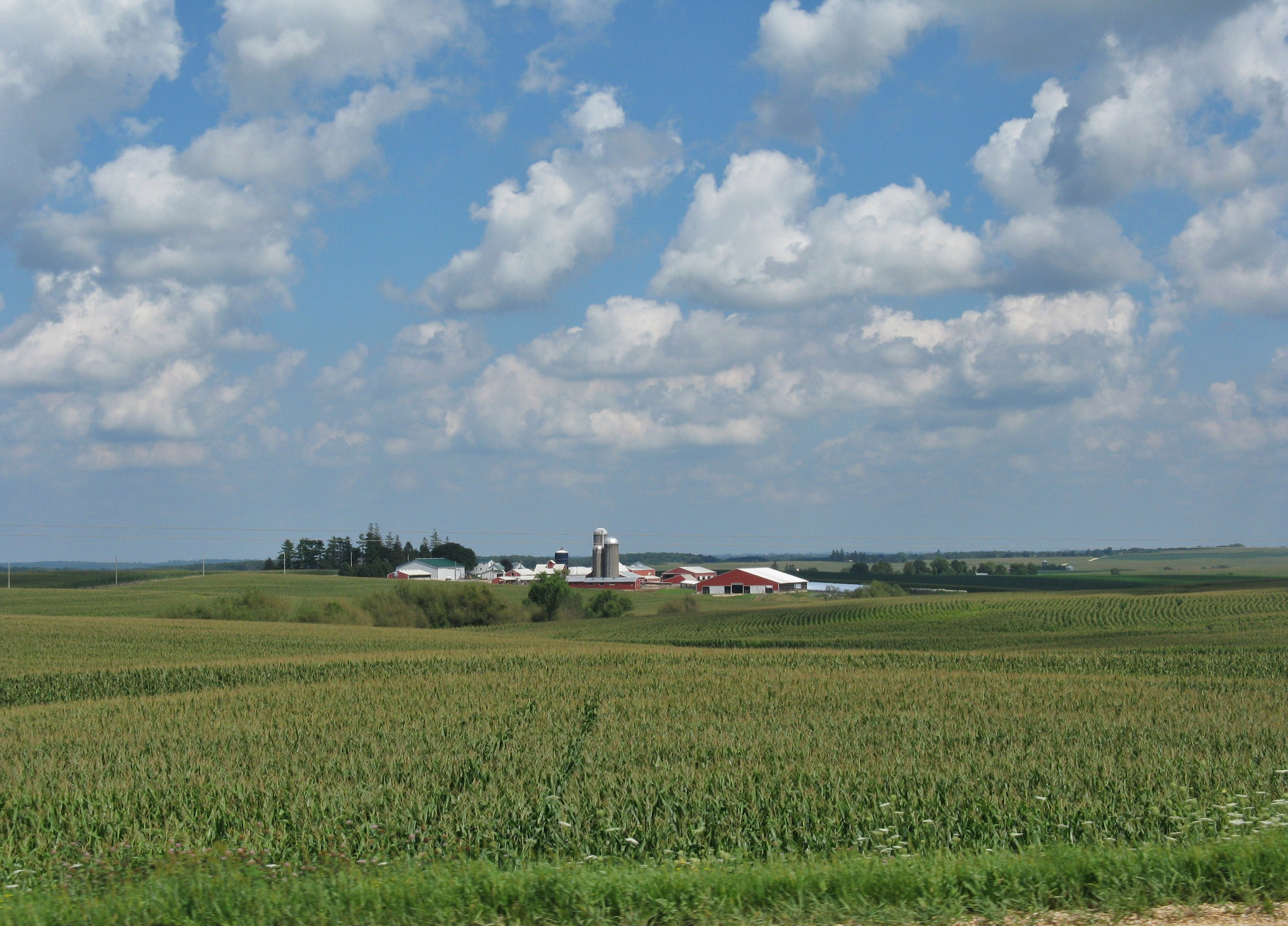 Vast fields of green extend over small, rolling hills and seemingly to the horizon. In the distance is a cluster of agricultural buildings. The sky is blue with numerous white, fluffy clouds.