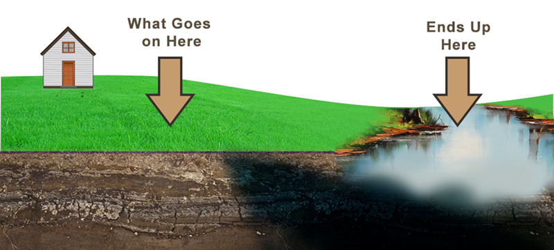 This graphic has arrows showing the flow of runoff from a lawn into a nearby body of water.