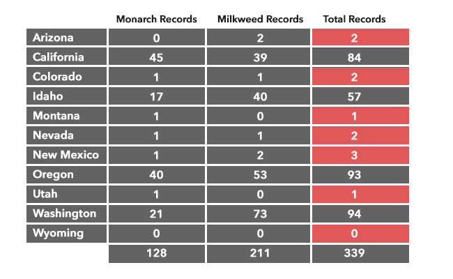 wmmm graph