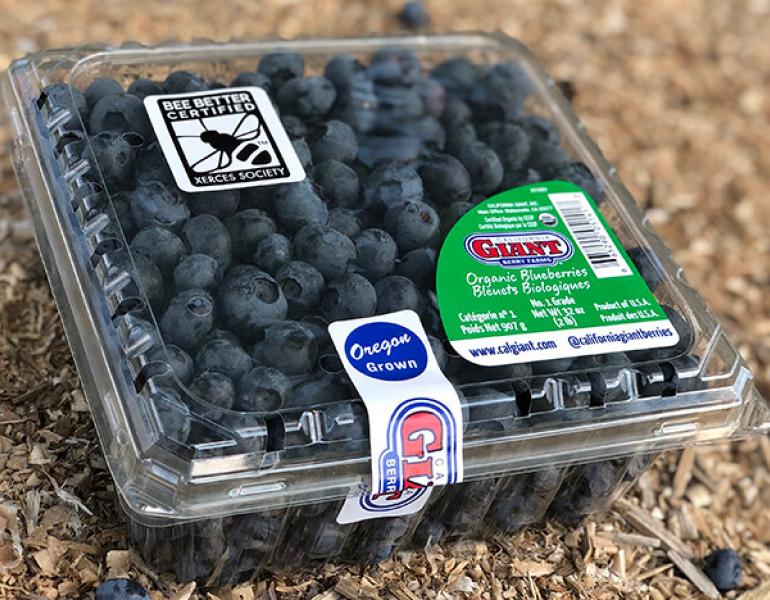A plastic clamshell of blueberries bears the Bee Better Certified seal, as well as a label that says "Oregon grown" and the California Giant label.