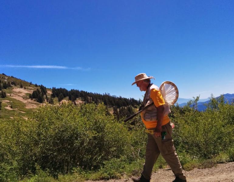 Robbin Thorp, wearing an orange shirt and tan pants and a tan hat, carries a net as he walks through the hills of southern Oregon.
