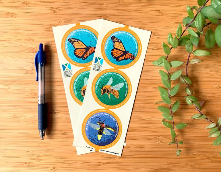 Sticker sheets on table next to pen and plant vine