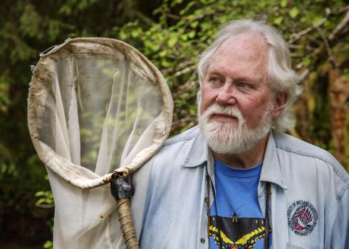 Robert Michael Pyle, who founded the Xerces Society in 1971. He has grey hair and beard, and is wearing a blue denim shirt over a blue t-shirt with a black-and-yellow swallowtail butterfly design -- and is holding his butterfly net.