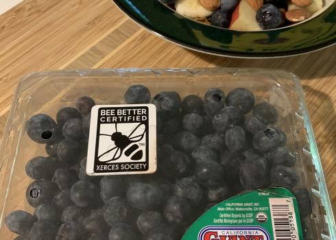A clear plastic container of blueberries on a kitchen counter beside a breakfast bowl containing cereal and fruit. The blueberry container has the black-and-white Bee Better Certified label