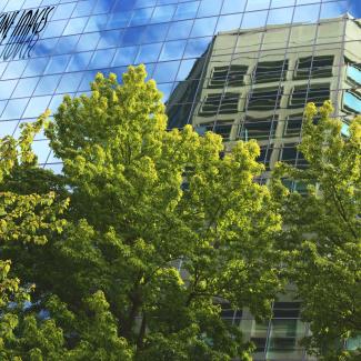 Bright green trees are shown alongside a wall of windows, reflecting a blue sky and a tall building.