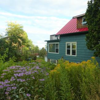 A teal-colored house is seemingly dwarfed by a profusion of plants growing around it, including purple and yellow blooms.