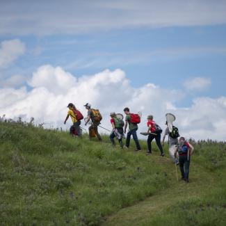 Young Nebraska Ecologists group climbs a hill in Gjerloff Prairie for Bumble Bee Atlas Surveys (c. Britton Bailey)