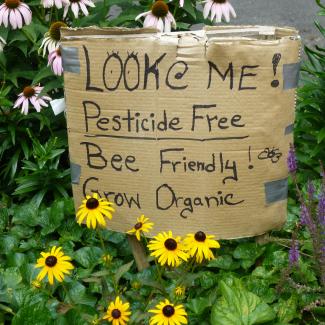 Pesticide free homemade garden sign. Photograph by Mike Licht, Flickr.