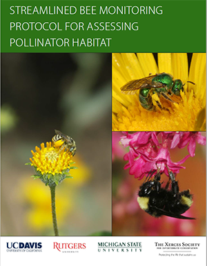 bee monitoring protocols