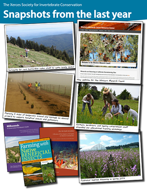 2014 annual report