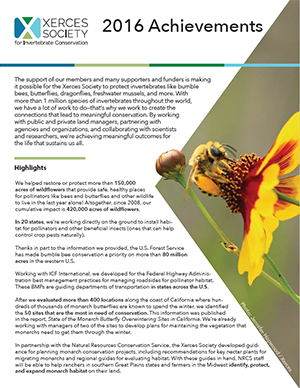 2016 annual report
