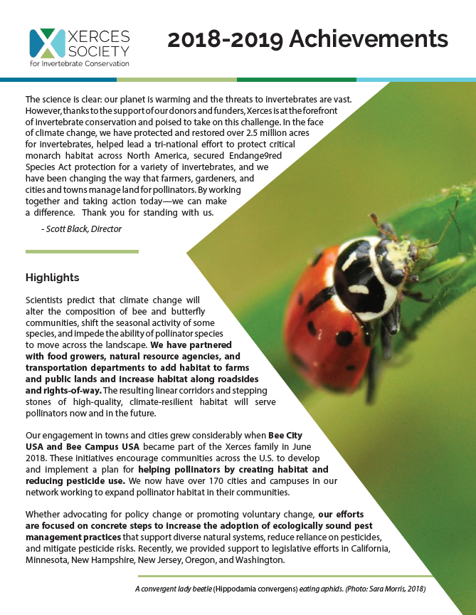 An image of the cover of the annual report. There is a large photo of a lady bug to one side, and text on the rest of the page.