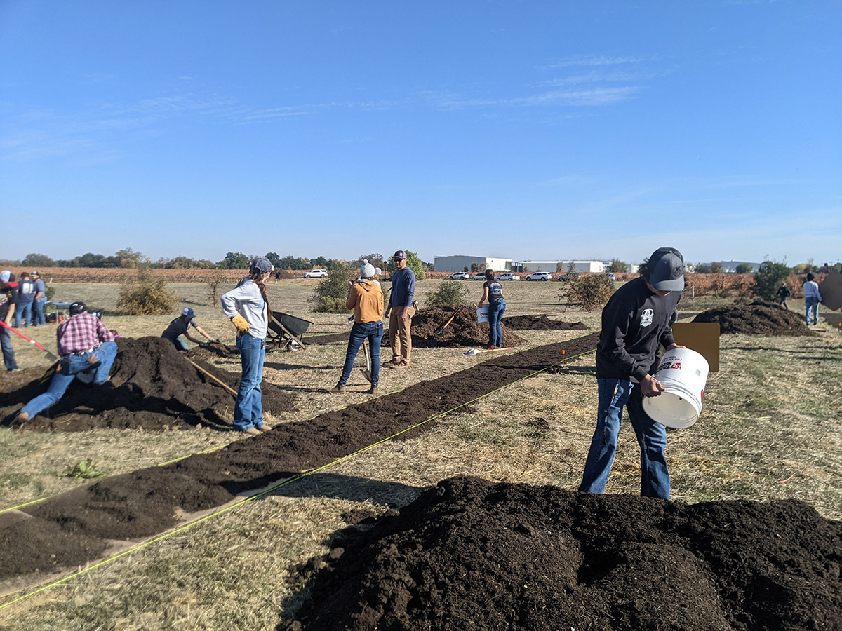 Volunteers taking mulch and compost out of piles with buckets, shovels, and wheelbarrows to be placed on rows of cardboard. 