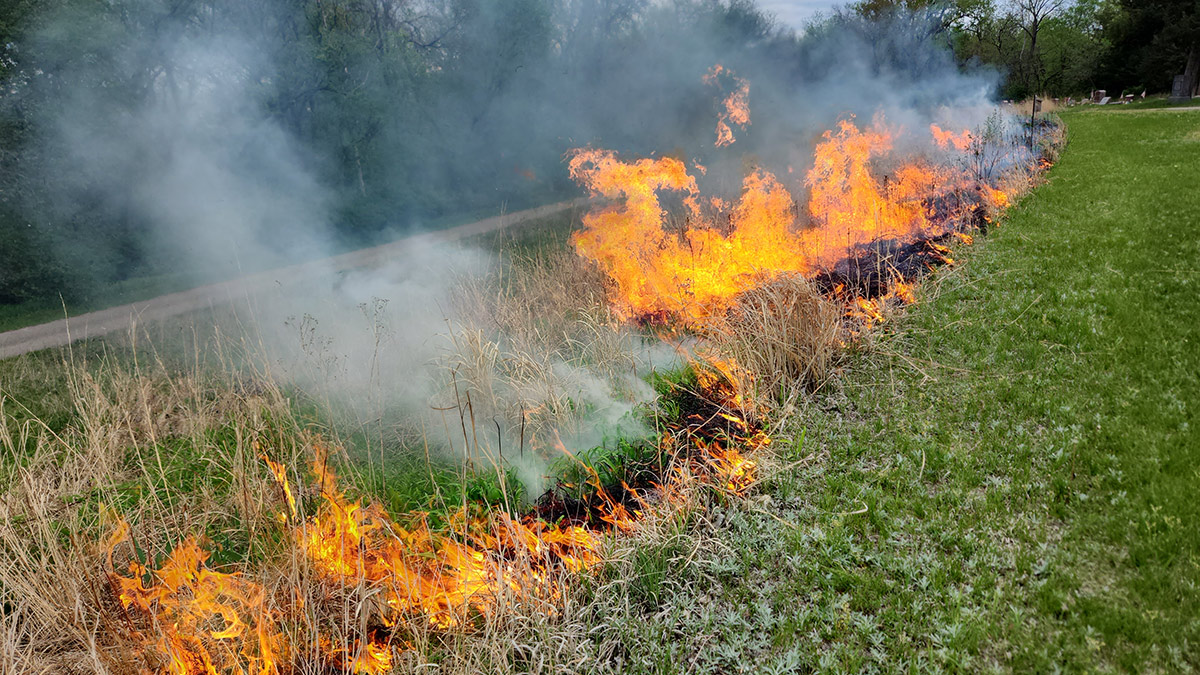 Section of prairie on fire at the cemetery