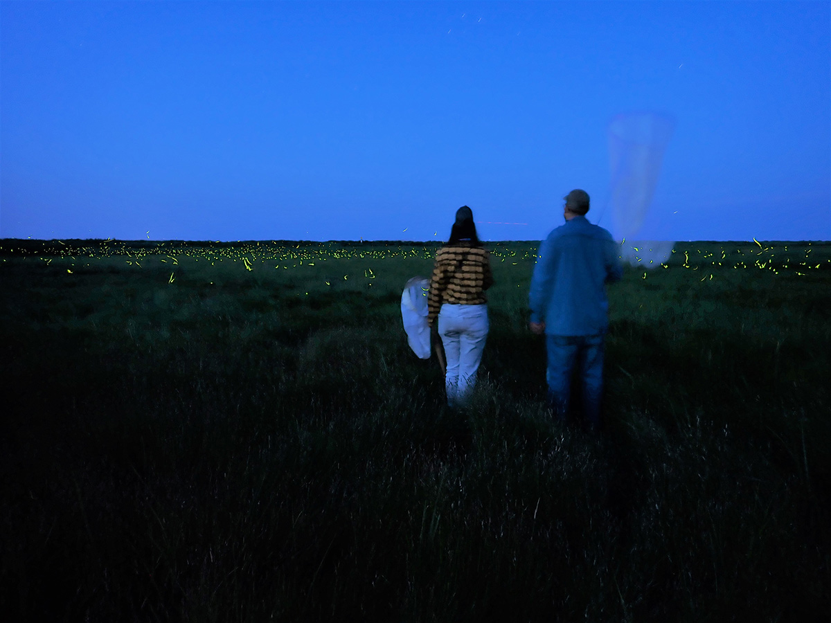 Two people with nets walking through a field of fireflies at dusk