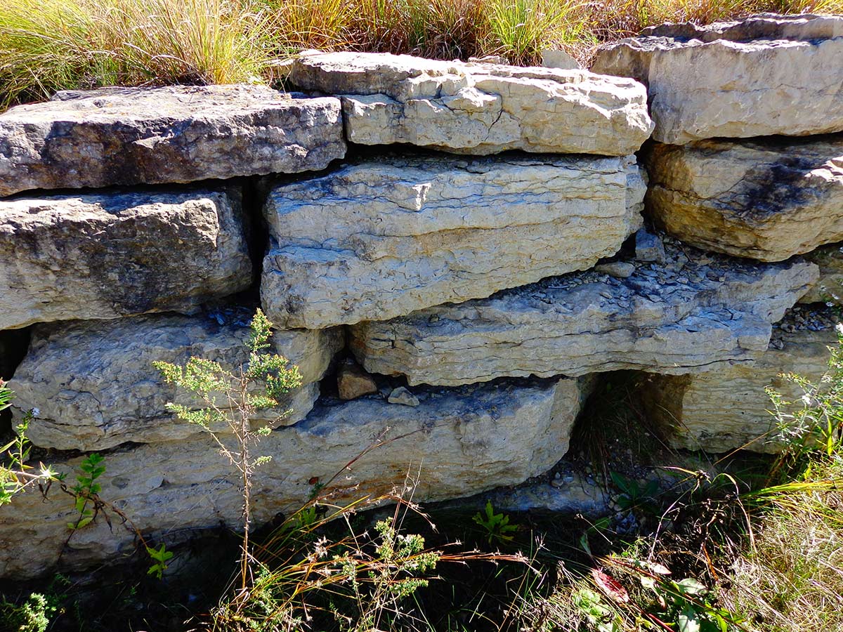 https://www.xerces.org/sites/default/files/2024-04/stone-wall.jpg