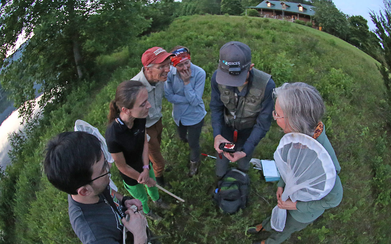 A diverse group of Firefly Atlas participants gathers around to look at a firefly they have found.