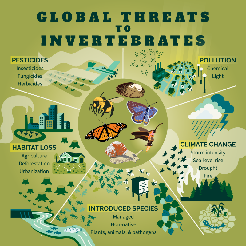Graphic illustration of global threats to invertebrates: pollution, climate change, introduced species, habitat loss and pesticides