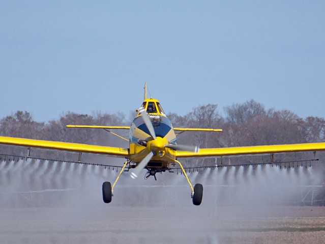Local Policies & Practices for Protecting Insects from Pesticides