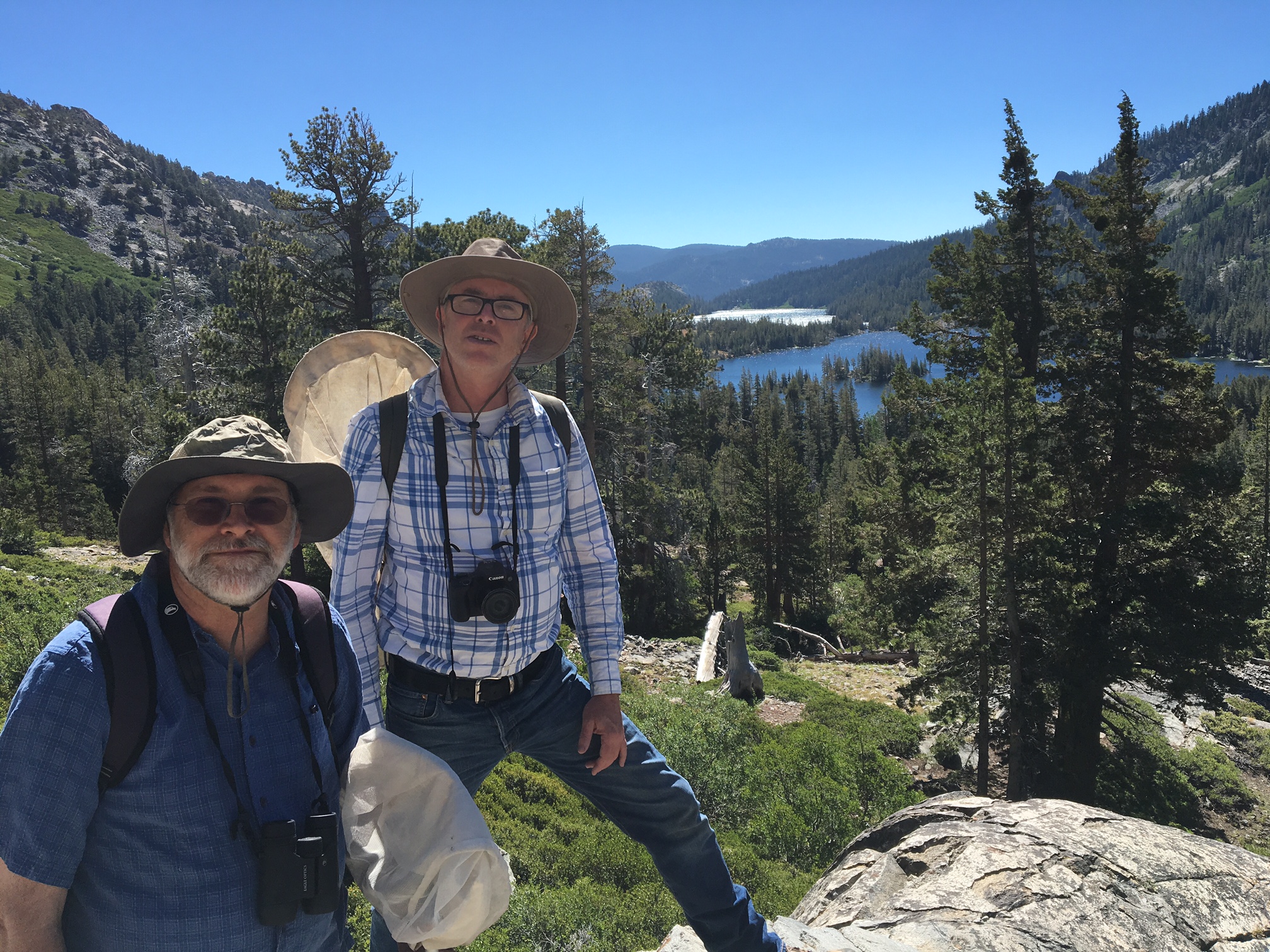 Two men, carrying butterfly nets and wearing sun hats, stand in a mountain valley, with pines behind and a view of a distant lake.