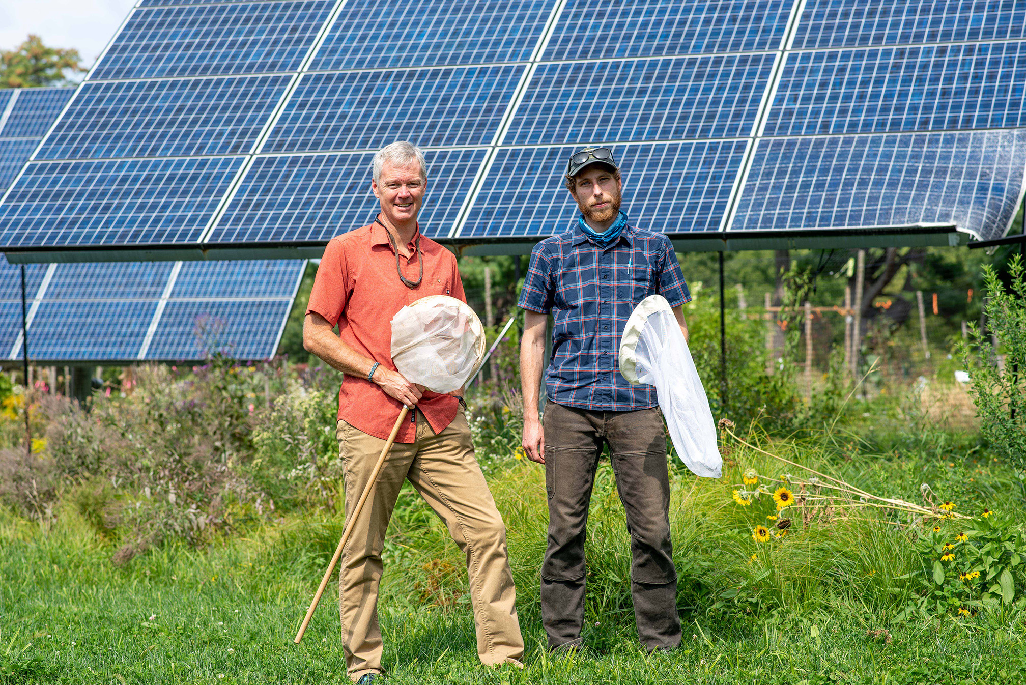 Two men, one wearing and orage shirt, the other a blue plaid shirt, stand holding insect nets in front of an array of solar panels