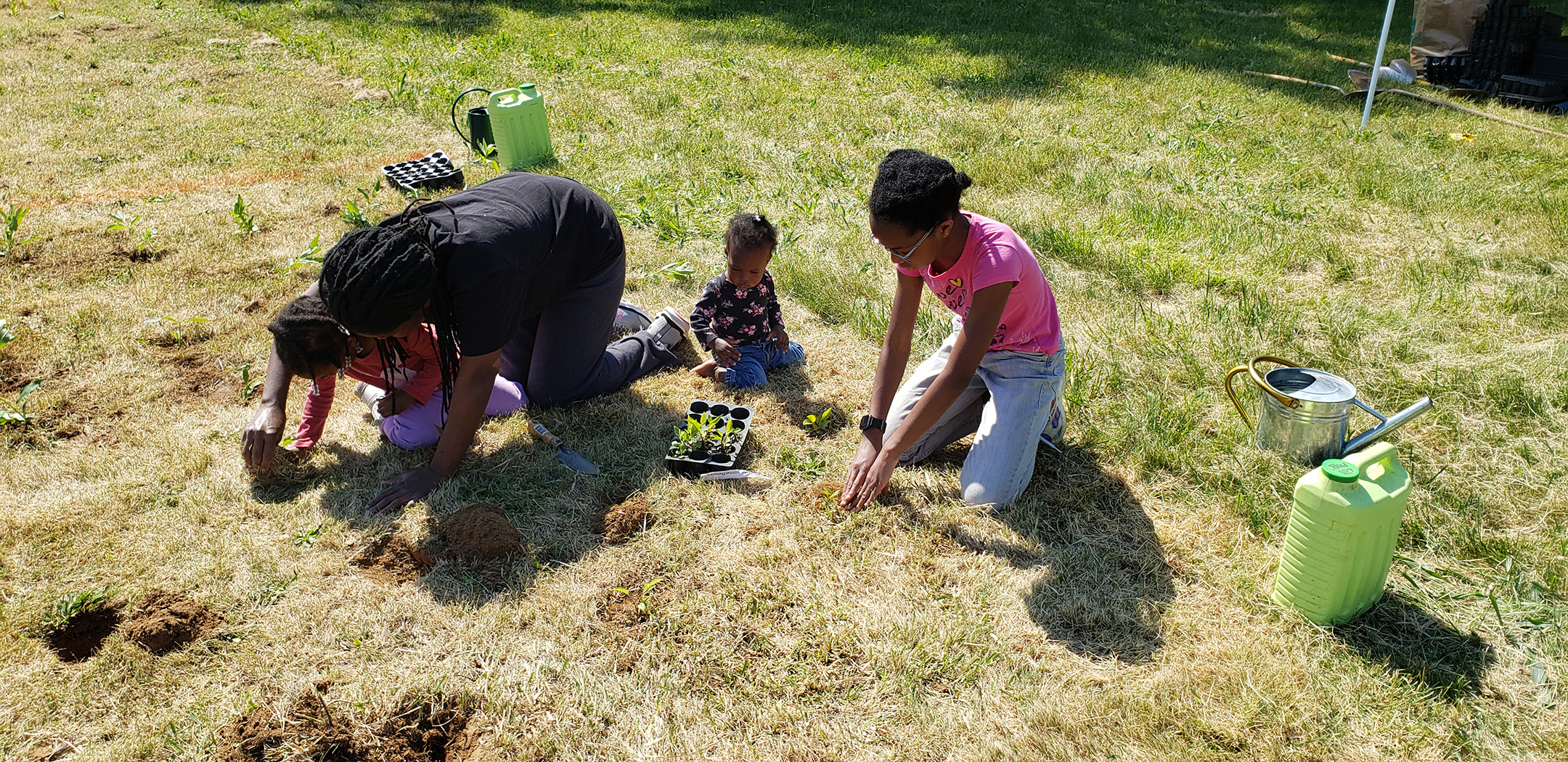 A woman and three children plant flowers to convert barren grass into pollinator habitat