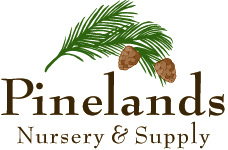 The logo of Pinelands Nursery has a green pine twig with two brown cones above the company's name.