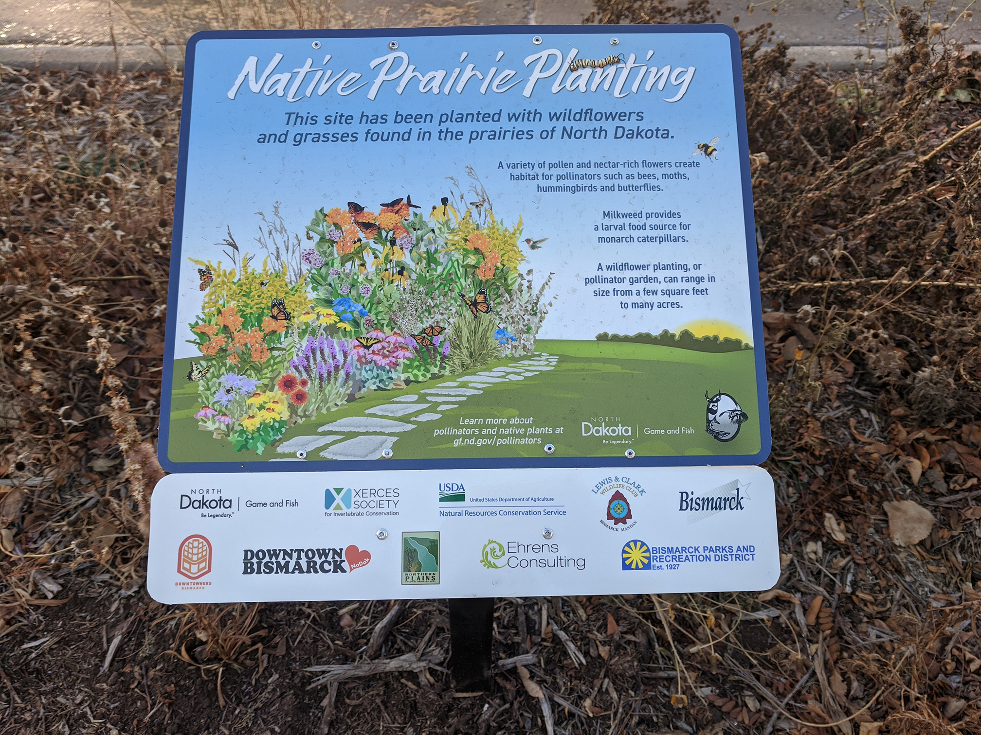 An information sign installed beside a flower planting. the sign is blue with a large illustration of a flower border full of orange, yellow, purple, and pink flowers.