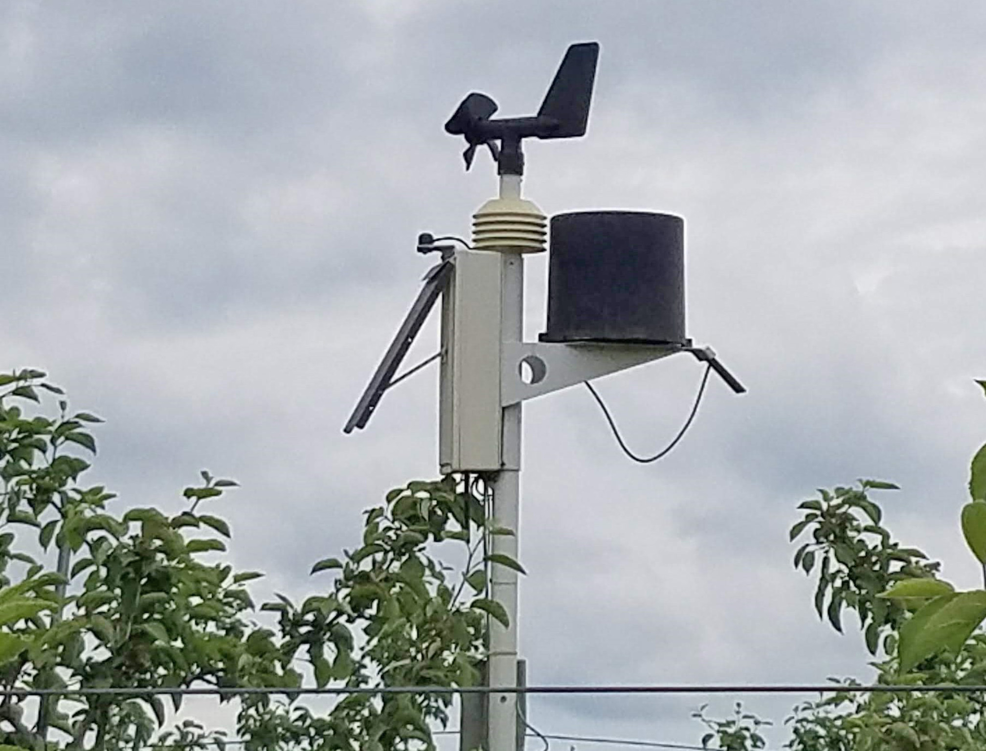 The weather station is mounted on a tall white pole that lifts it above the green leaves of fruit trees. At the top is a gadget for measuring wind with rotating fan blades and a tail so that it points in the right direction. One the right is a black cylinder holding a rain guage. on the left is a pale gray box supporting a dark-colored solar panel angled to catch the sun.