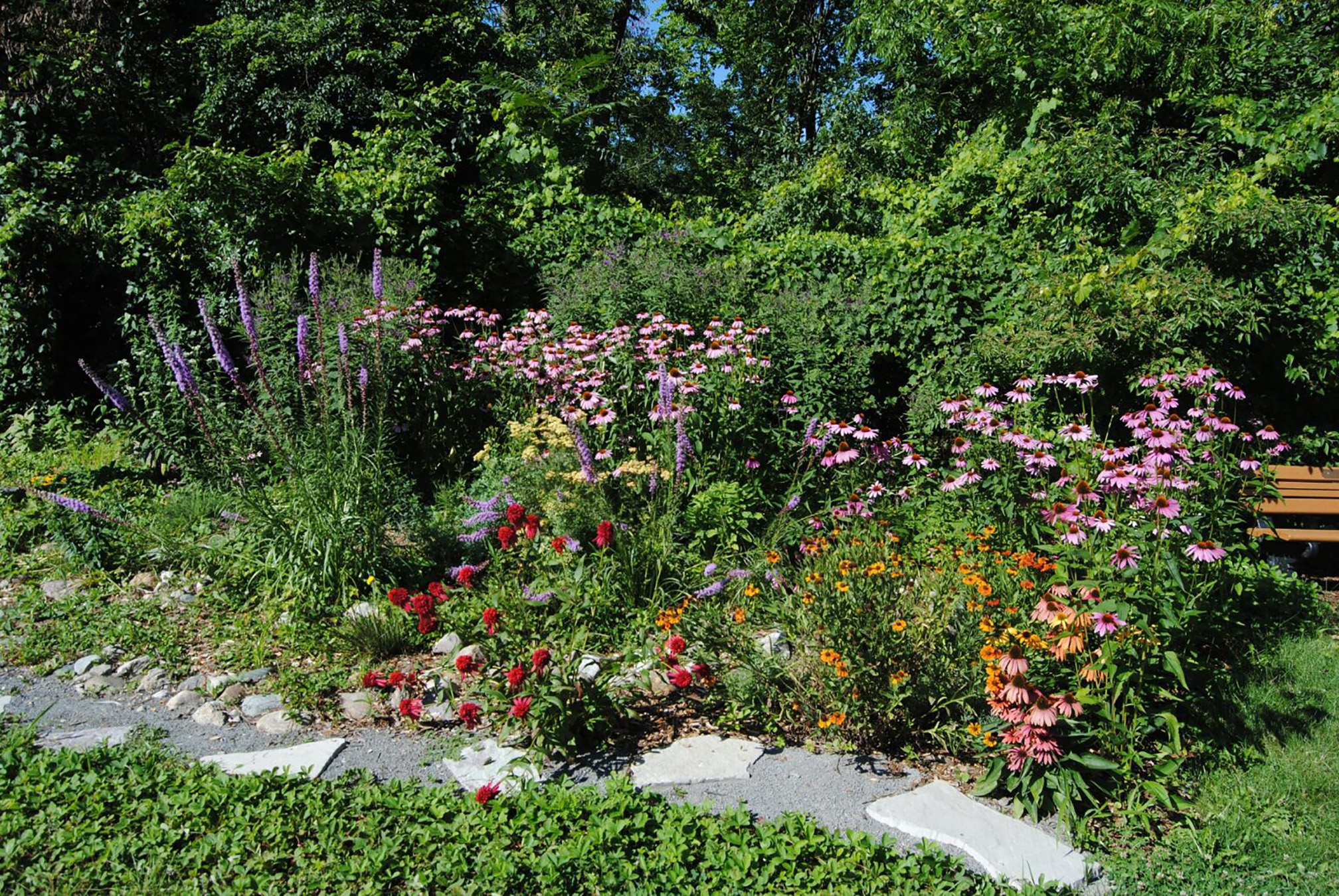 A small flower garden is full of color. Tall plants with purple flower spikes contrast with the mass of pink flowers behind. In the front, low plants with yellow, red, or pink flowers edge the gray paving of the path.