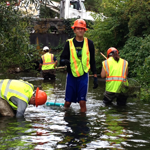 People wearing hard hats and bright yellow-green reflective vests stand in a stream.