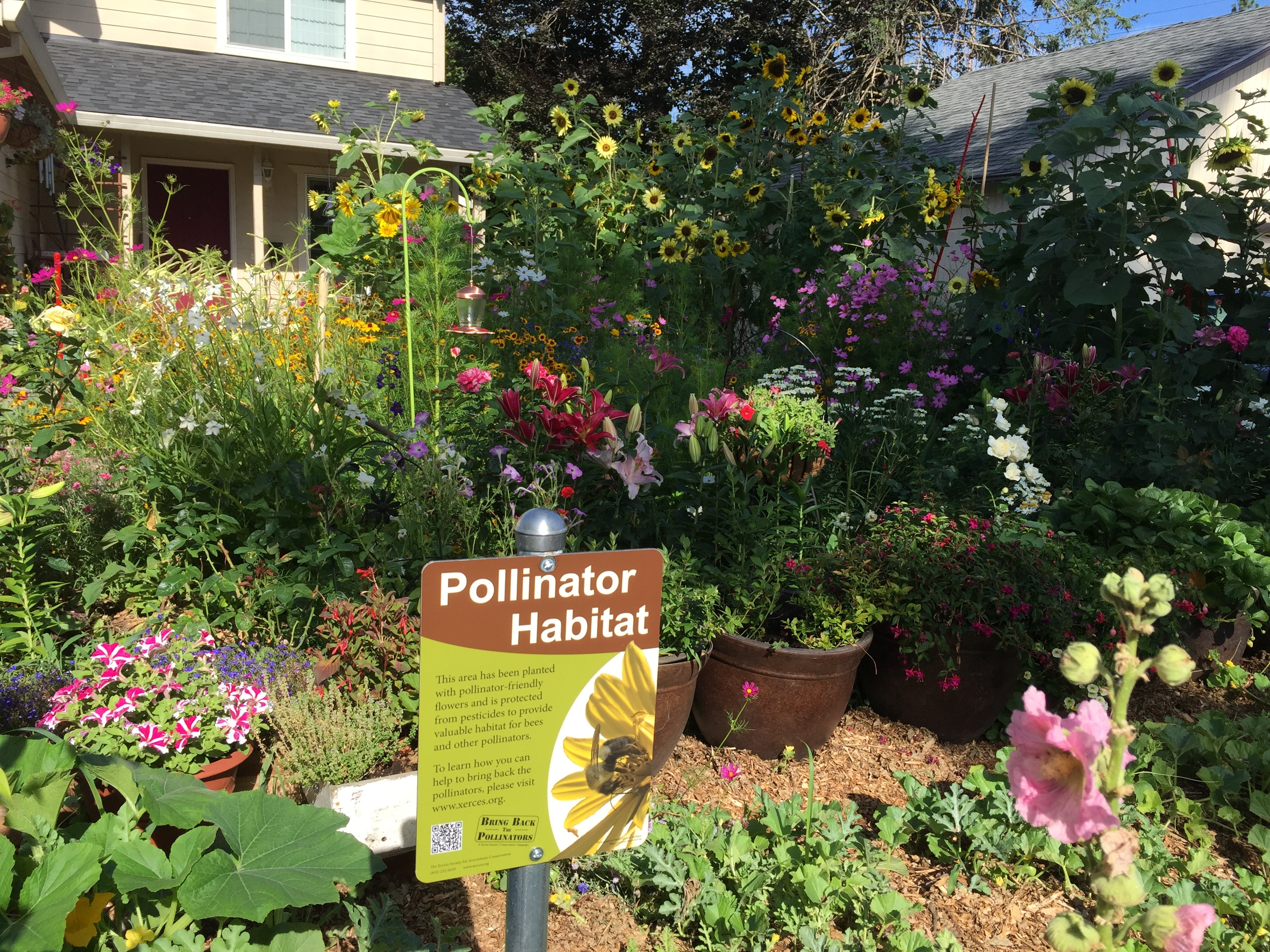 A beautiful, colorful garden is bursting with a variety of blooms. In the foreground is a Xerces Society pollinator habitat sign.